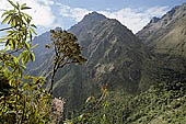 Inca Trail   the Dead Woman pass from Pacamayo camp